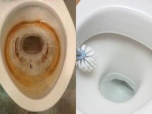 eliminador desincrustante anticarro antes y después